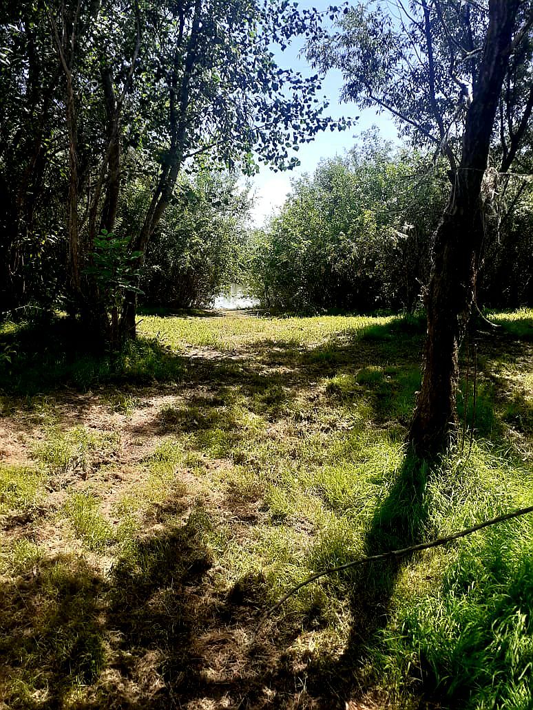 Фото База Звезда