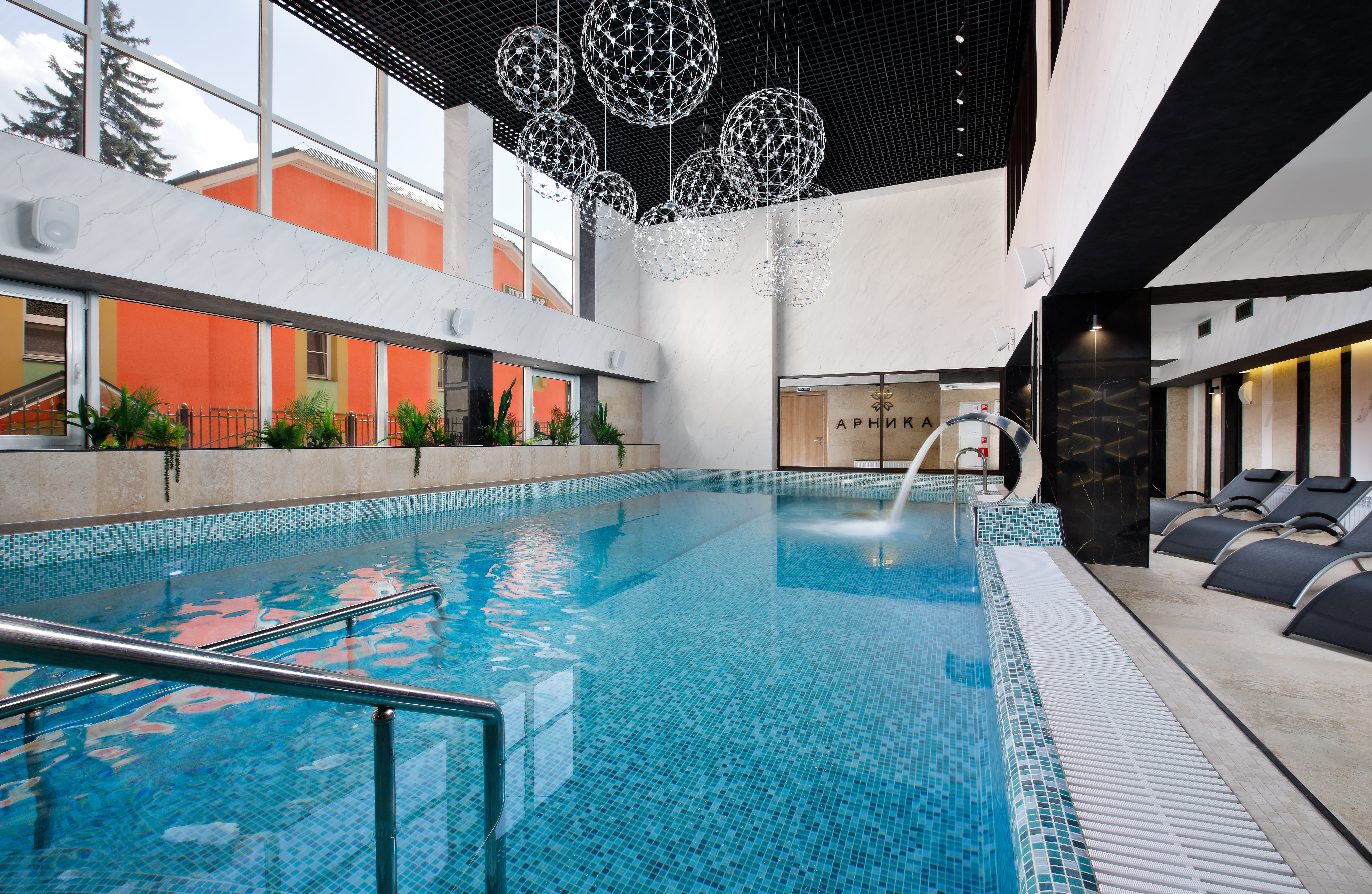 Фото Арника