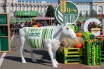 Dar (prospekt 50 let Oktyabrya, 34), servicios de marqueting
