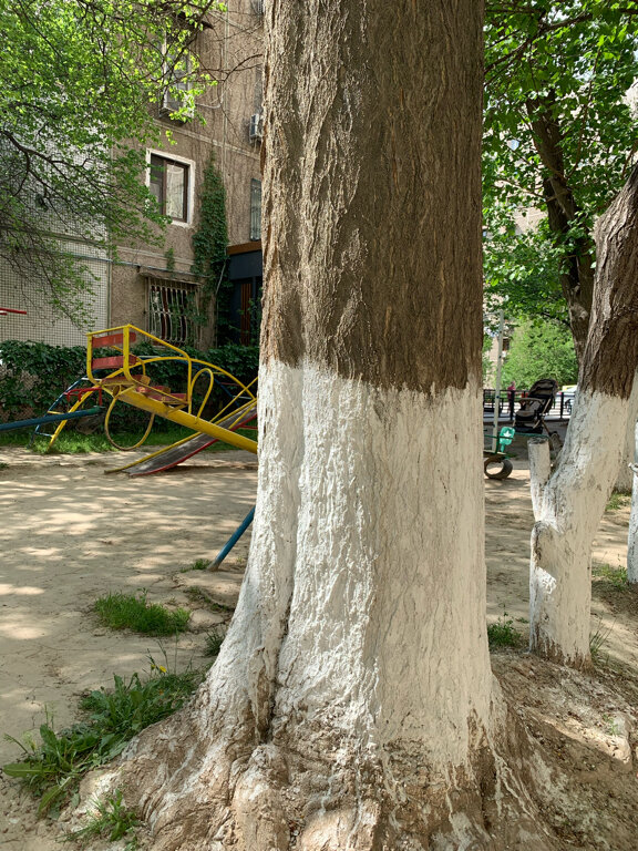 Playground Children's Playground, Tashkent, photo