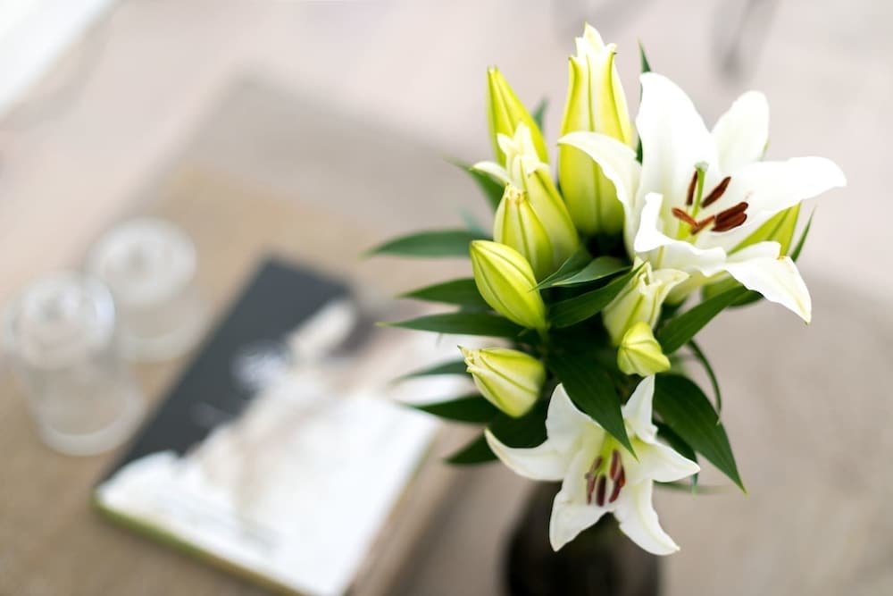 Фото Bright 2br Home in West Kensington, 6 Guests