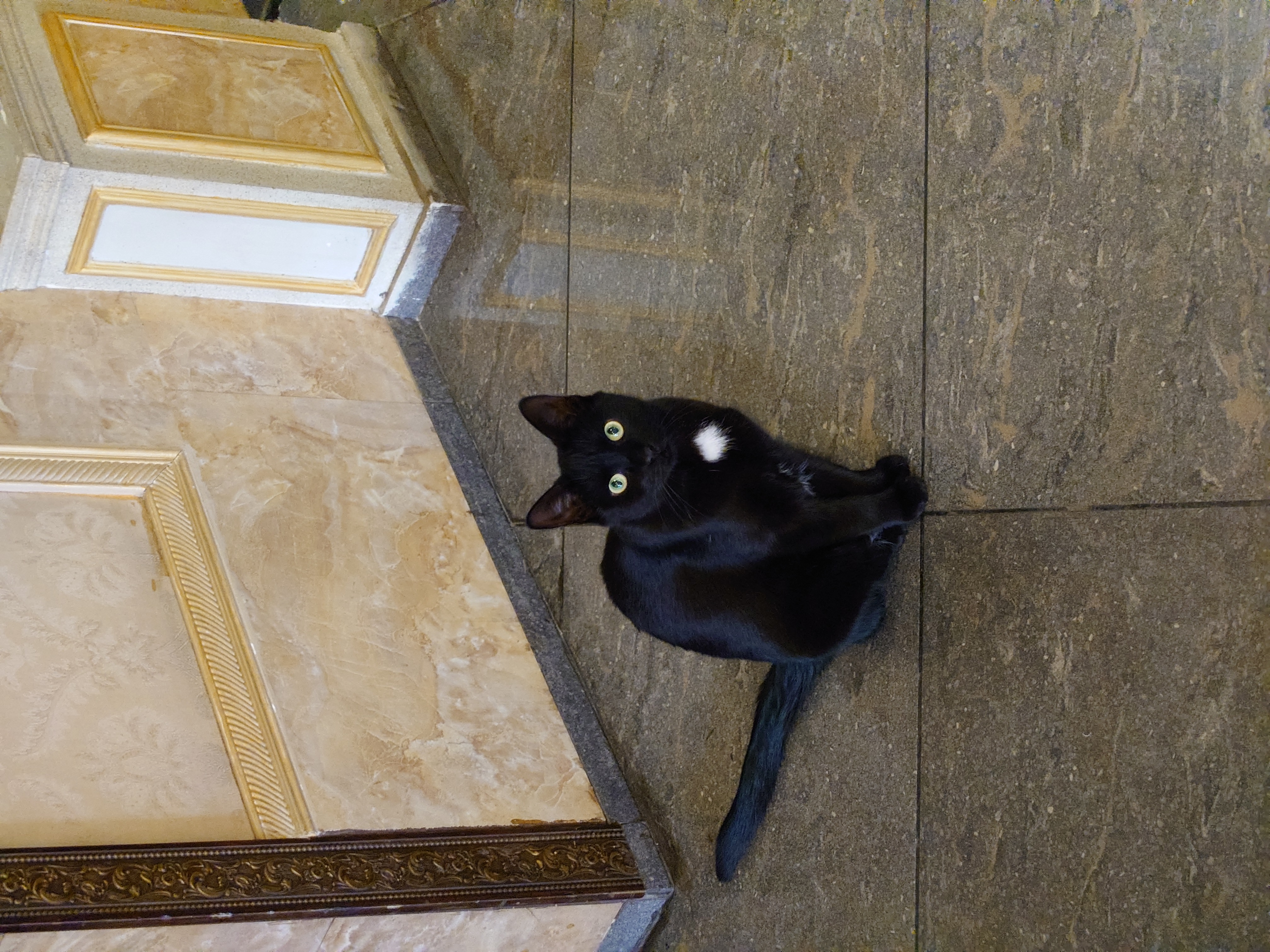 Фото КорниловЪ