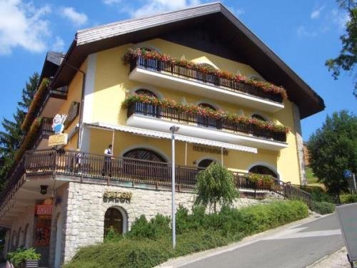 Фото Wellness Hotel Windsor