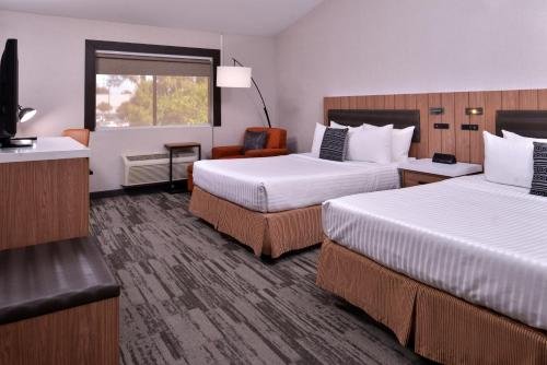 Фото Modesto Hotel