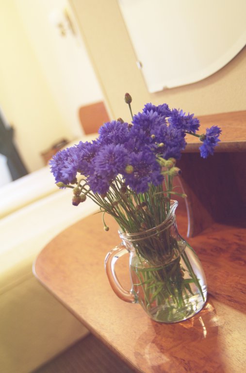 Фото Rinaldi Premier