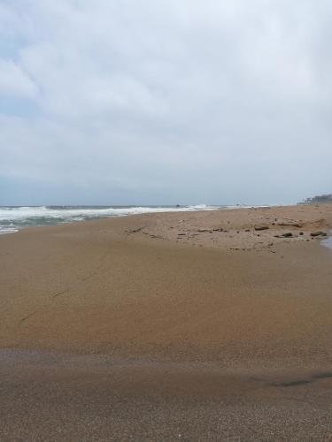 Фото Abesekara Rest House