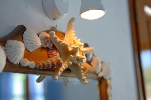 Фото Elena Studios and Apartments