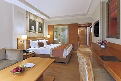 Фото 12 Revay Hotel