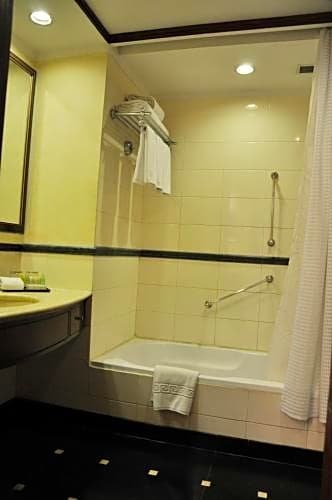 Фото Radisson Hotel Varanasi