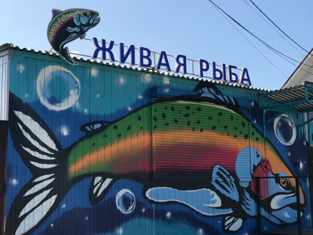 Магазин Рыболов В Сысерти