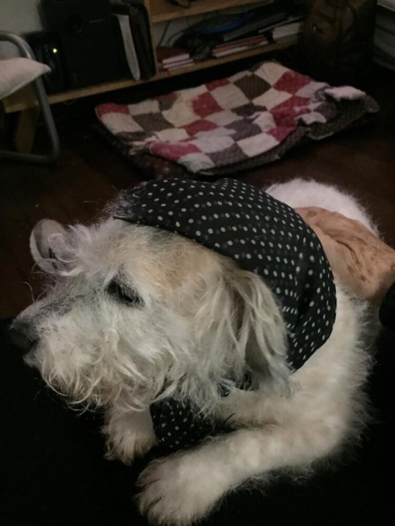 Фото Family Hostel