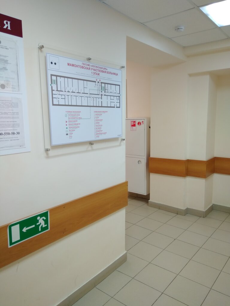 عيادة خارجية للبالغين Mamontovskaya Uchastkovaya bolnitsa s. Mamontovo ، موسكو ومحافظة موسكو، صورة