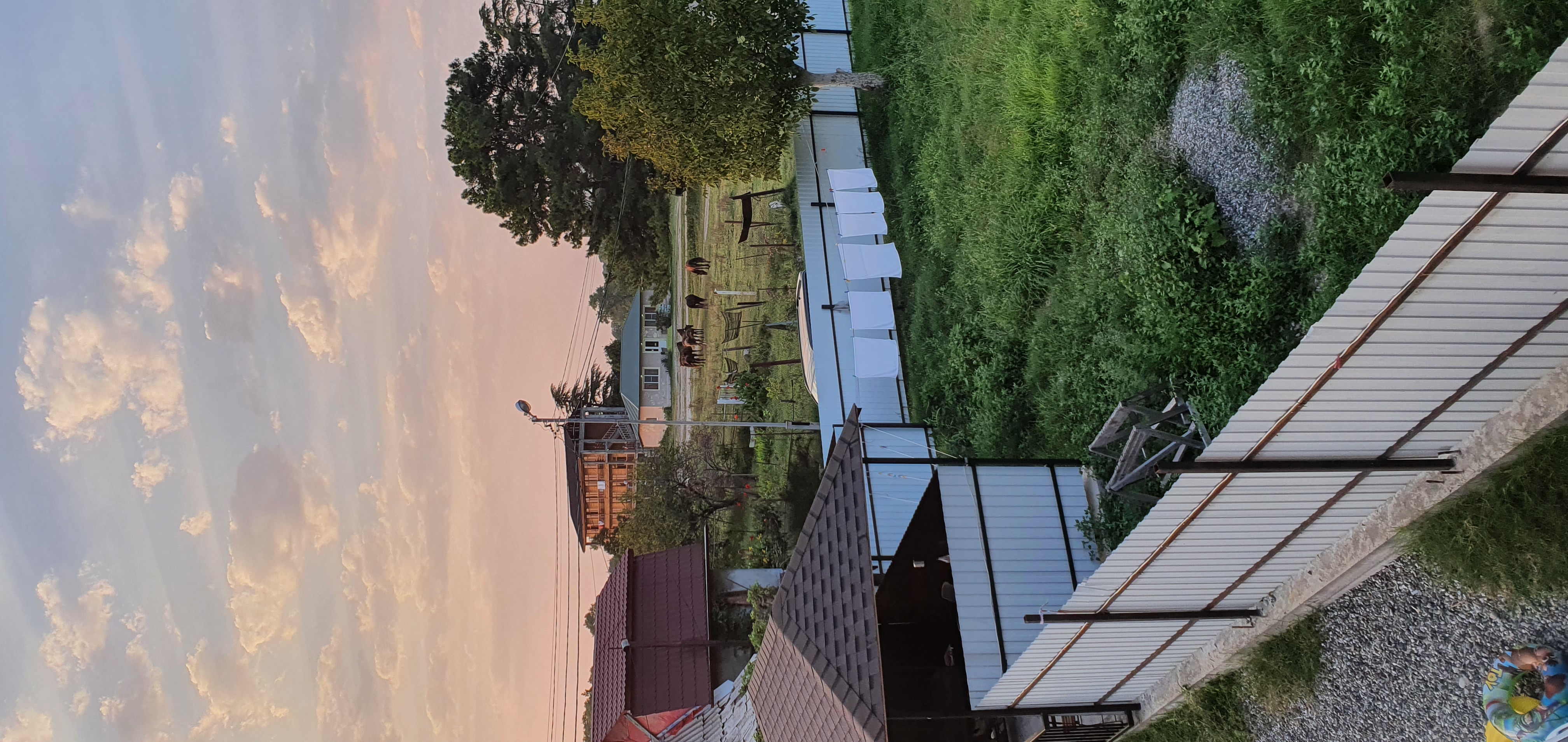 Фото GuestHouse Dana