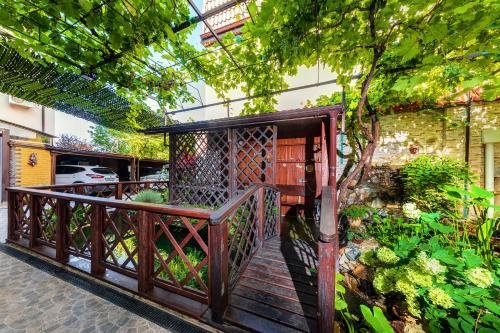 Фото Золотая рыбка