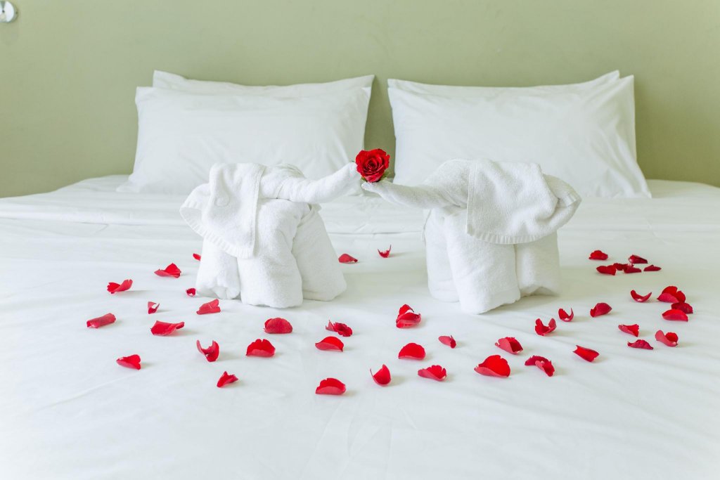 Фото Green House Hotel