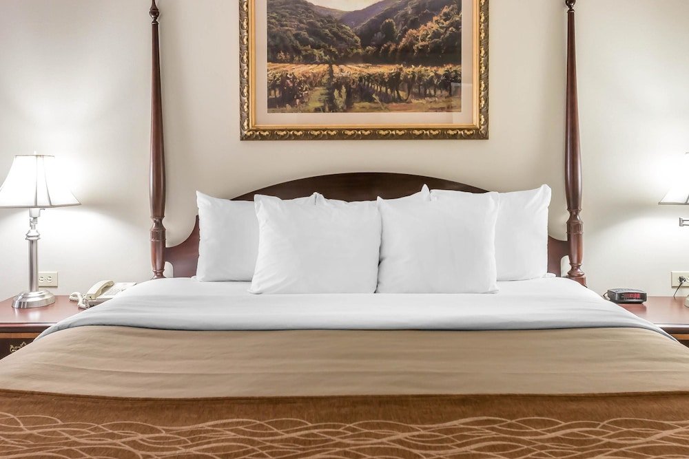 Фото Comfort Inn Plainwell