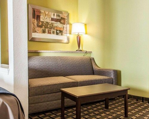 Гостиница Comfort Inn & Suites в Элк-Сити