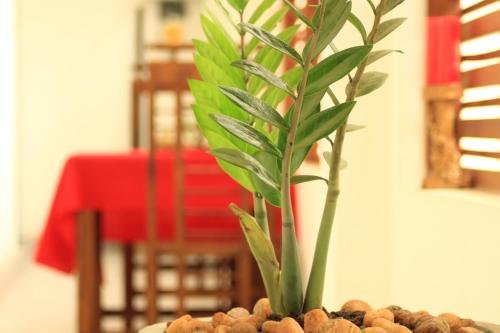 Фото Hotel Crown Plaza Katunayake