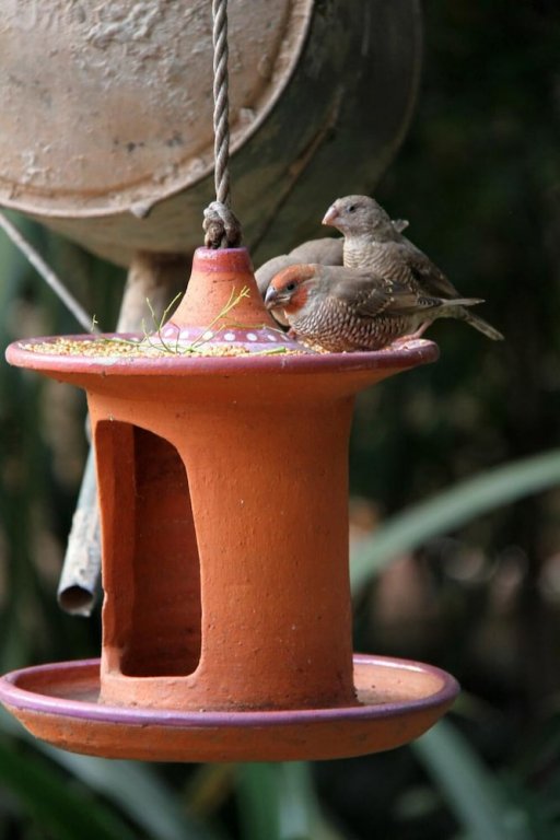 Фото Del Roza Guest House