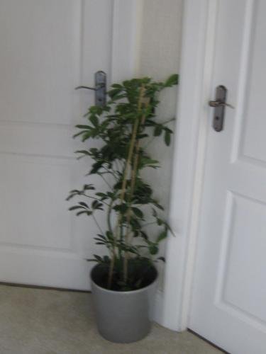 Фото Brooklyn House