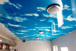 Stretched Ceilings (Tamerlan tas joly, 3/5), ceiling systems