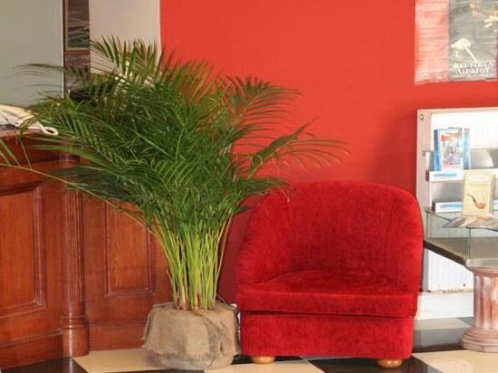 Фото Palladion Hotel