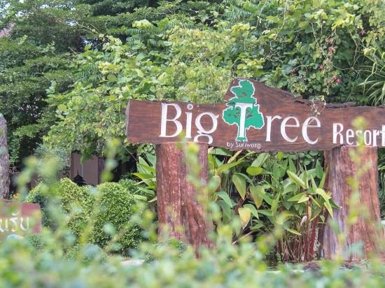 Фото Big Tree Resort
