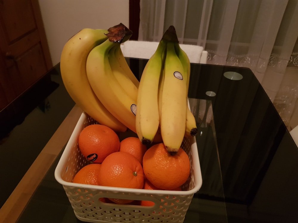 Фото Forest in City Lodge