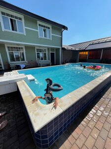 Озорные белки