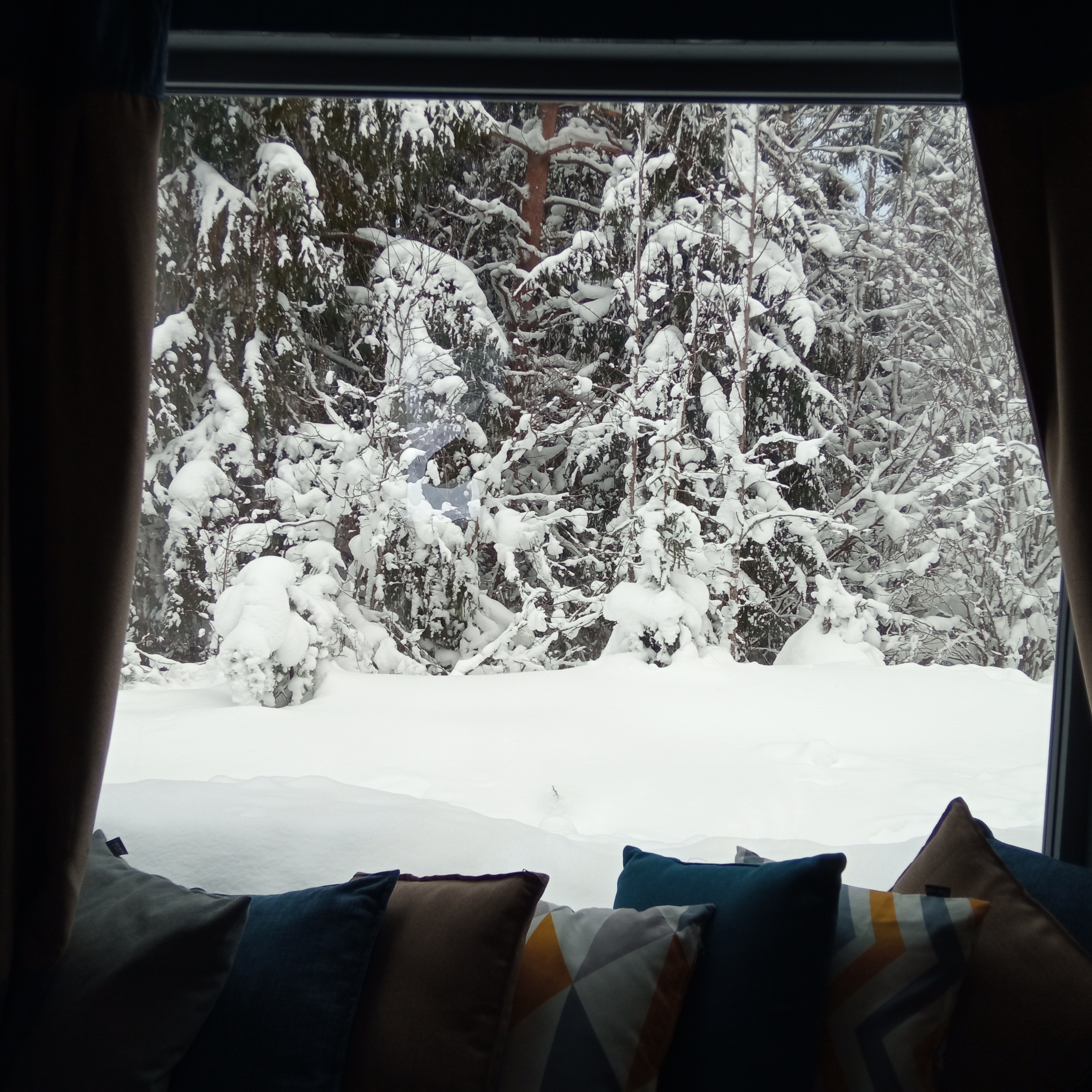 Фото ДомДомВалдай