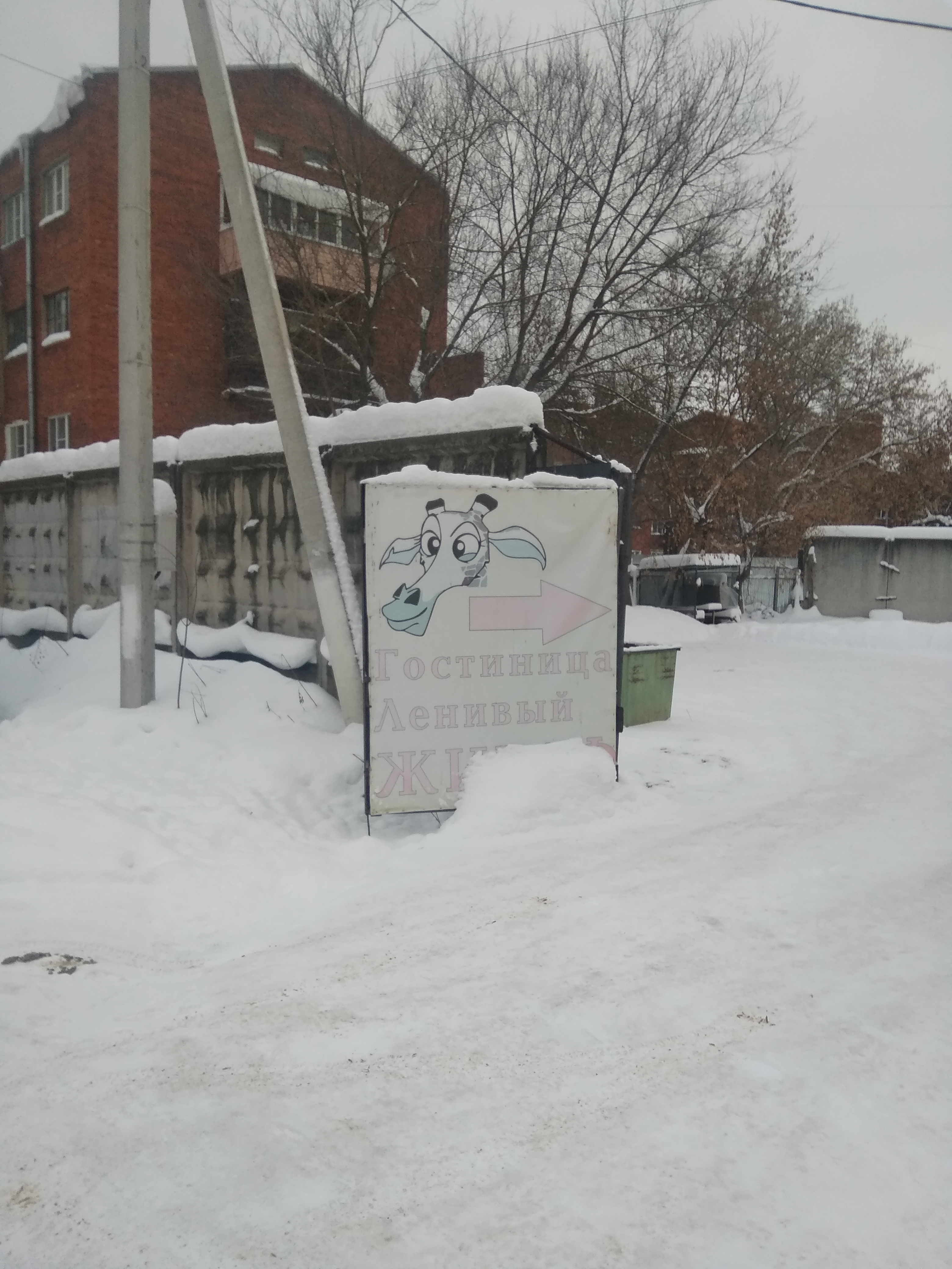 Фото Ленивый жираф