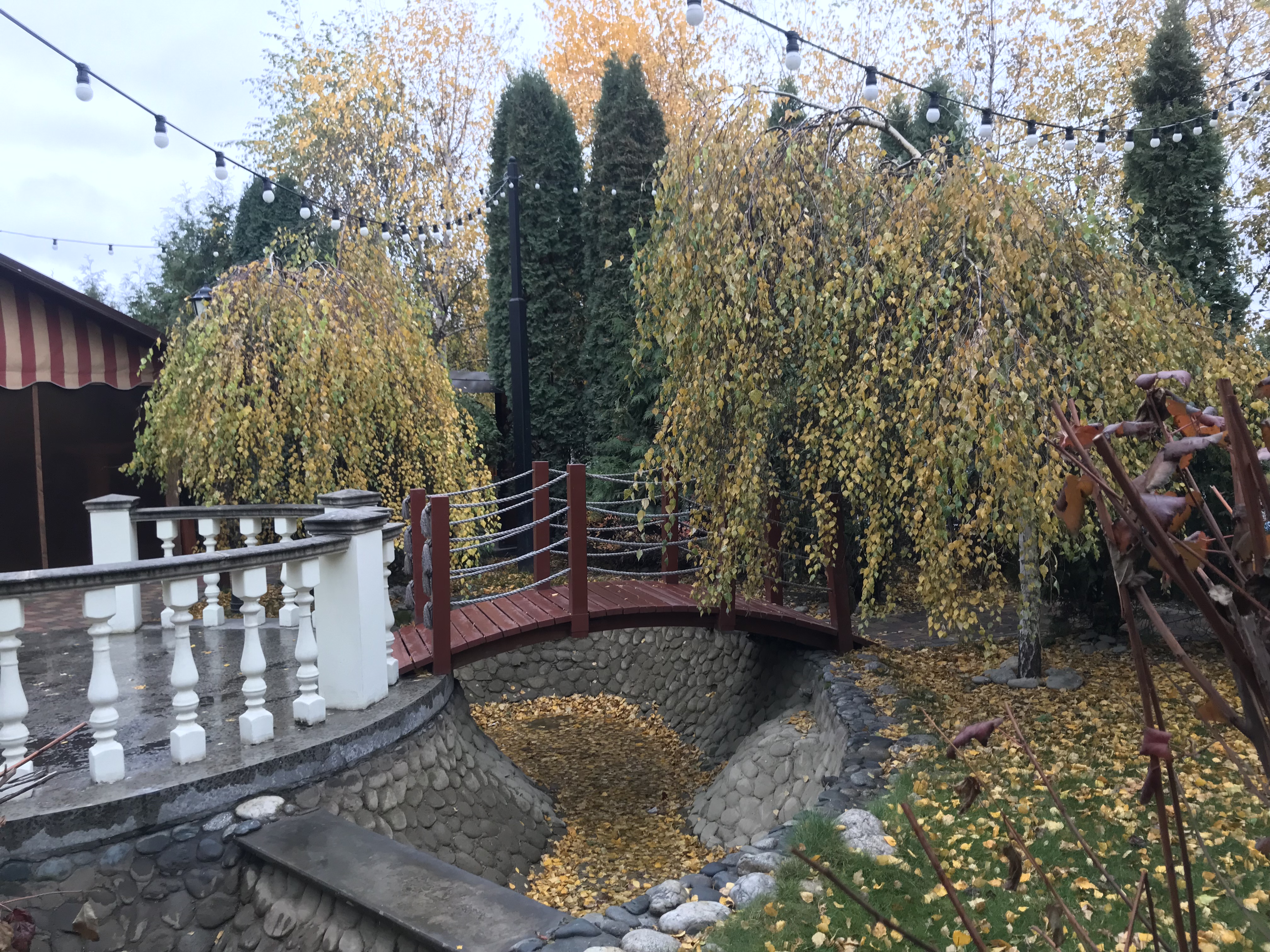 Фото Сударь