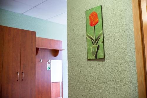 Фото Wellness Hotel Szindbád