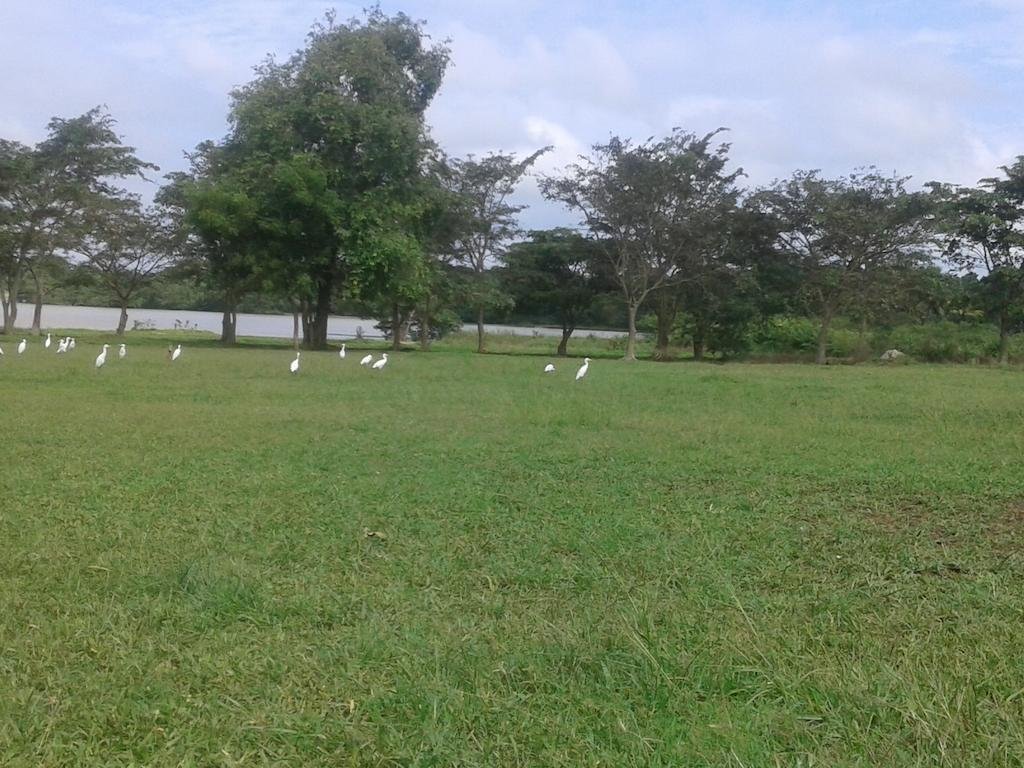 Фото Suwanila Rest