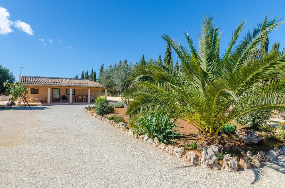 Фото Es Mitja Davall