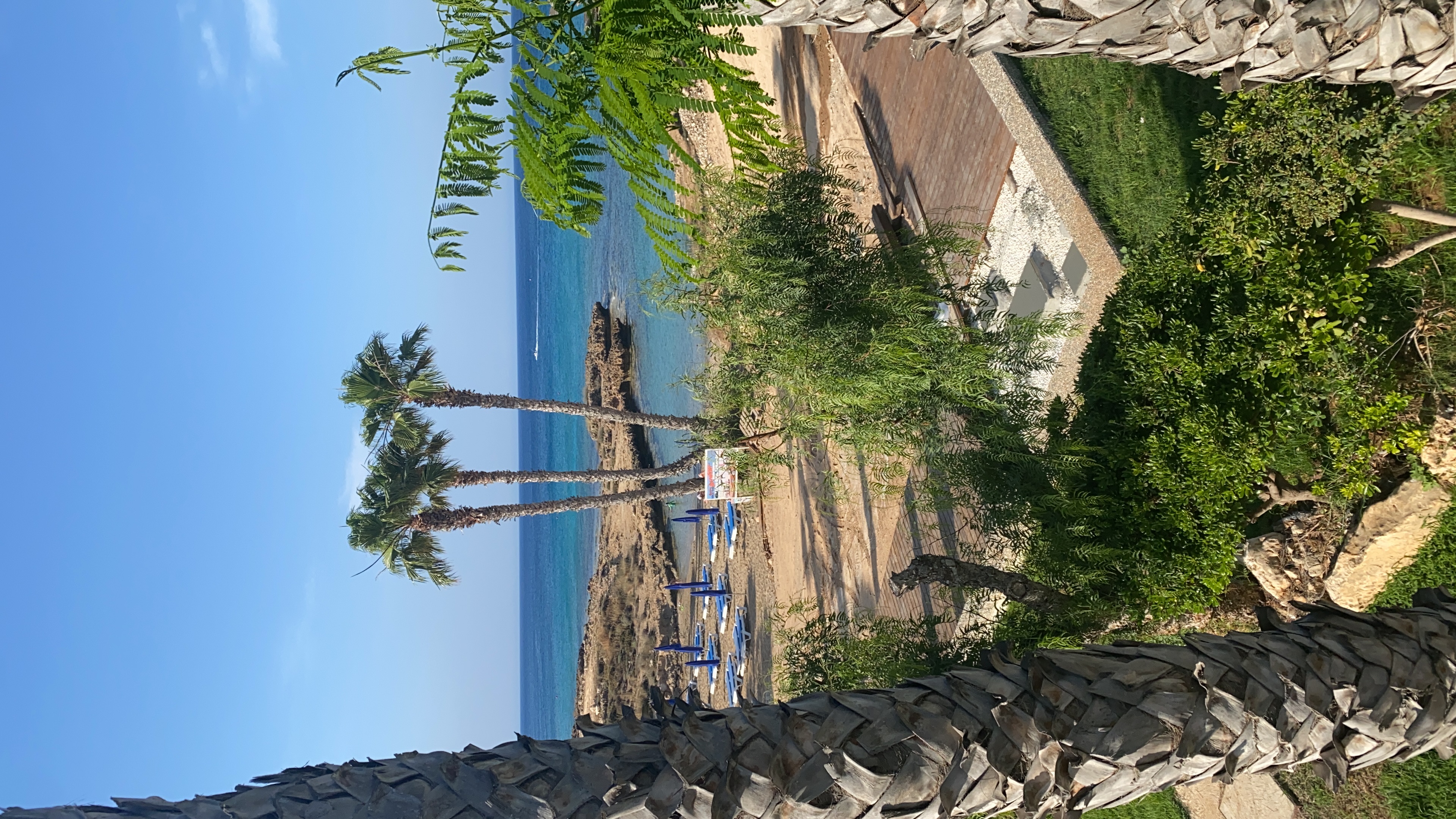 Фото Louis Althea Beach Hotel