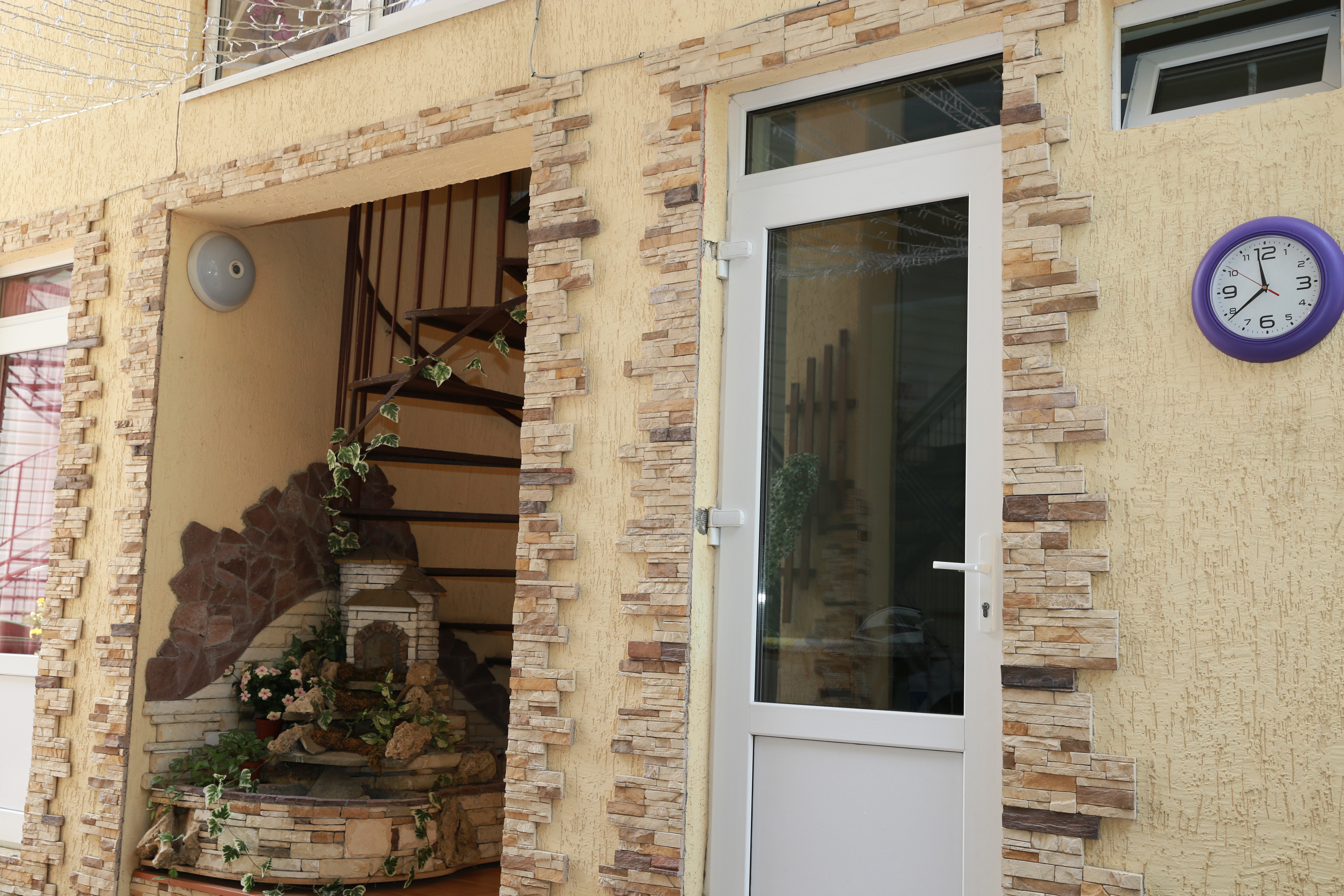 Фото Березка