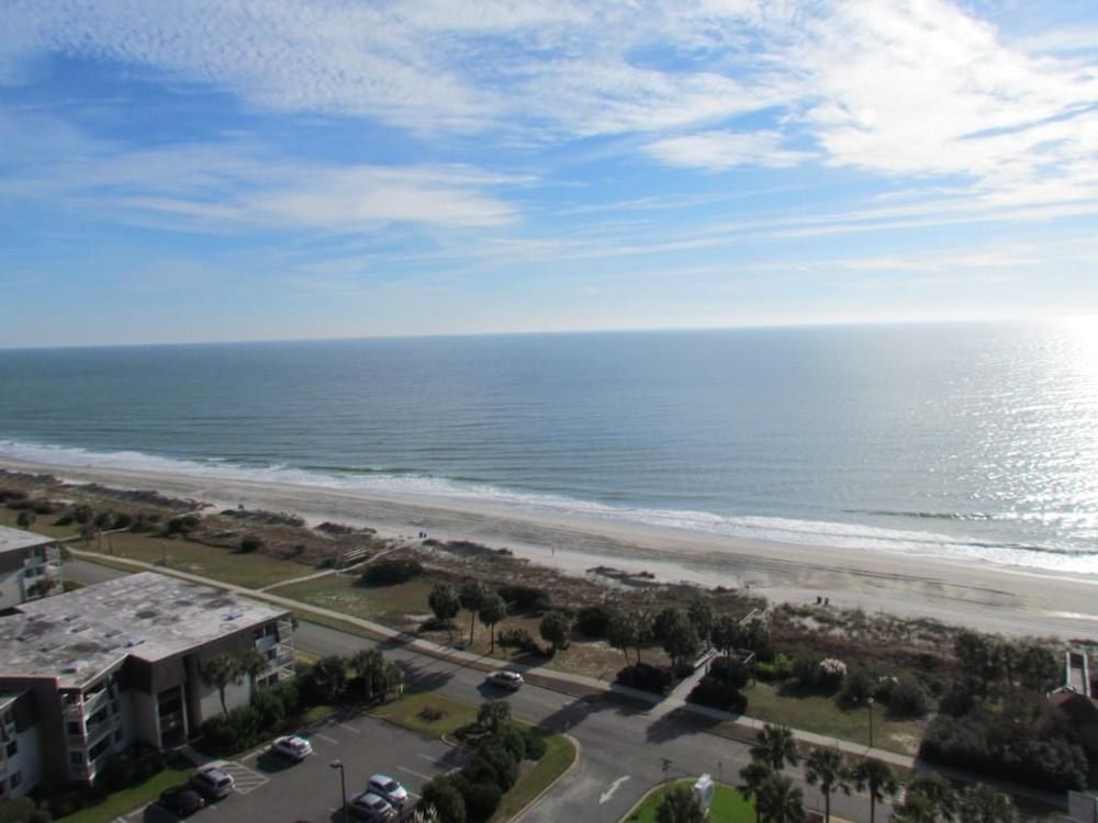 Фото Ocean Forest 1610- Ocean Front