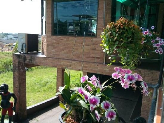 Фото 189054306713