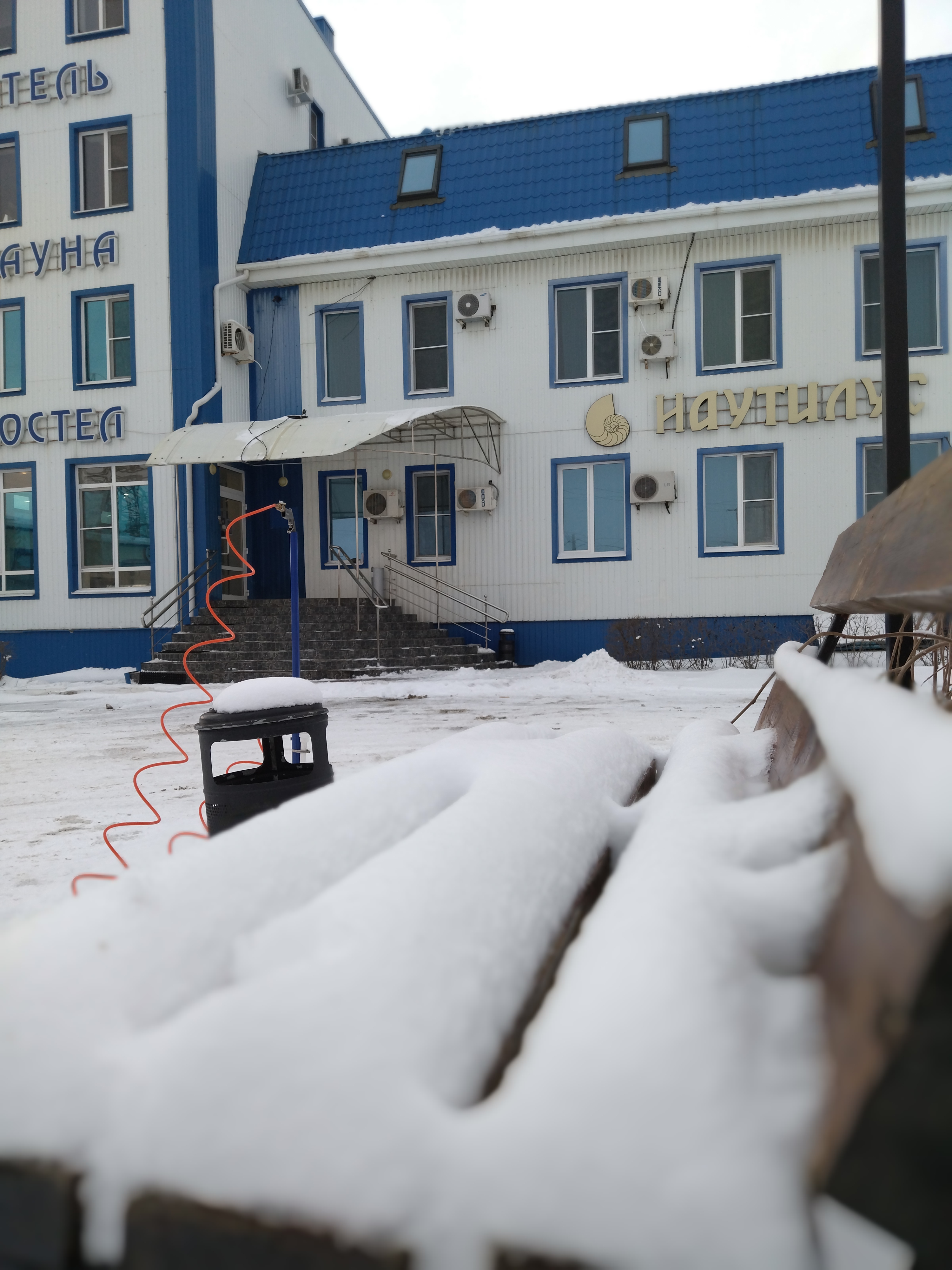 Фото Наутилус