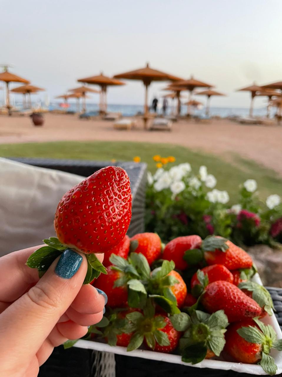 Фото Naama Bay Promenade Beach Resort