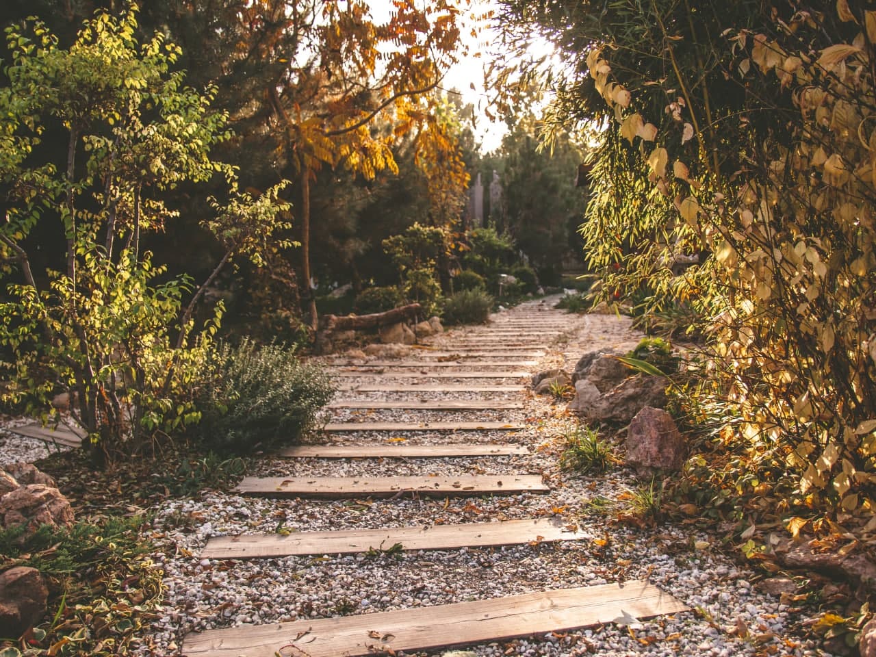 Фото Uzumfermer. uz