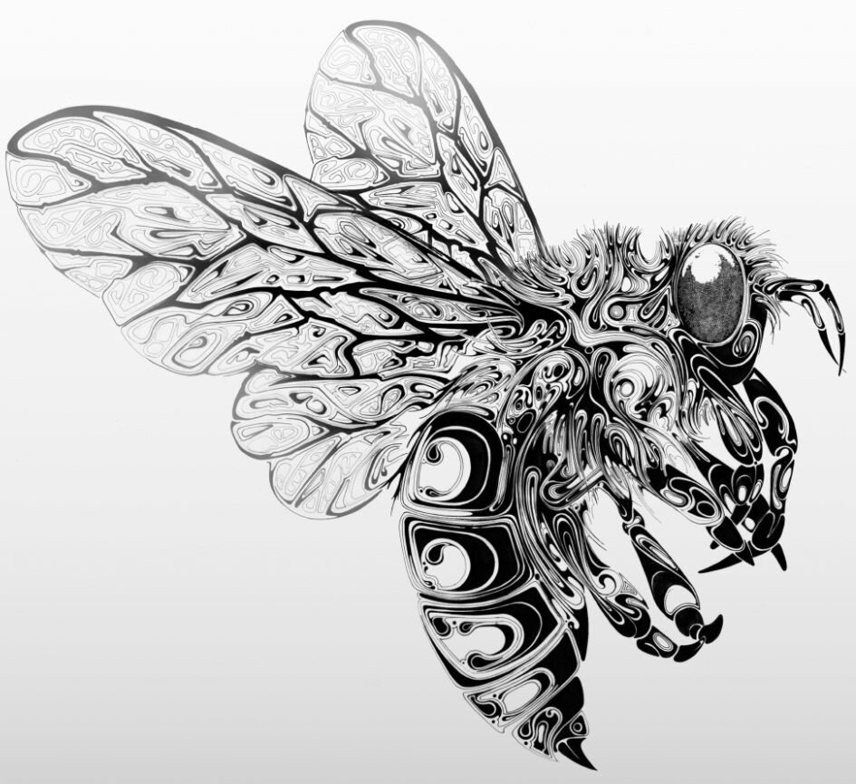 Муха тату эскиз