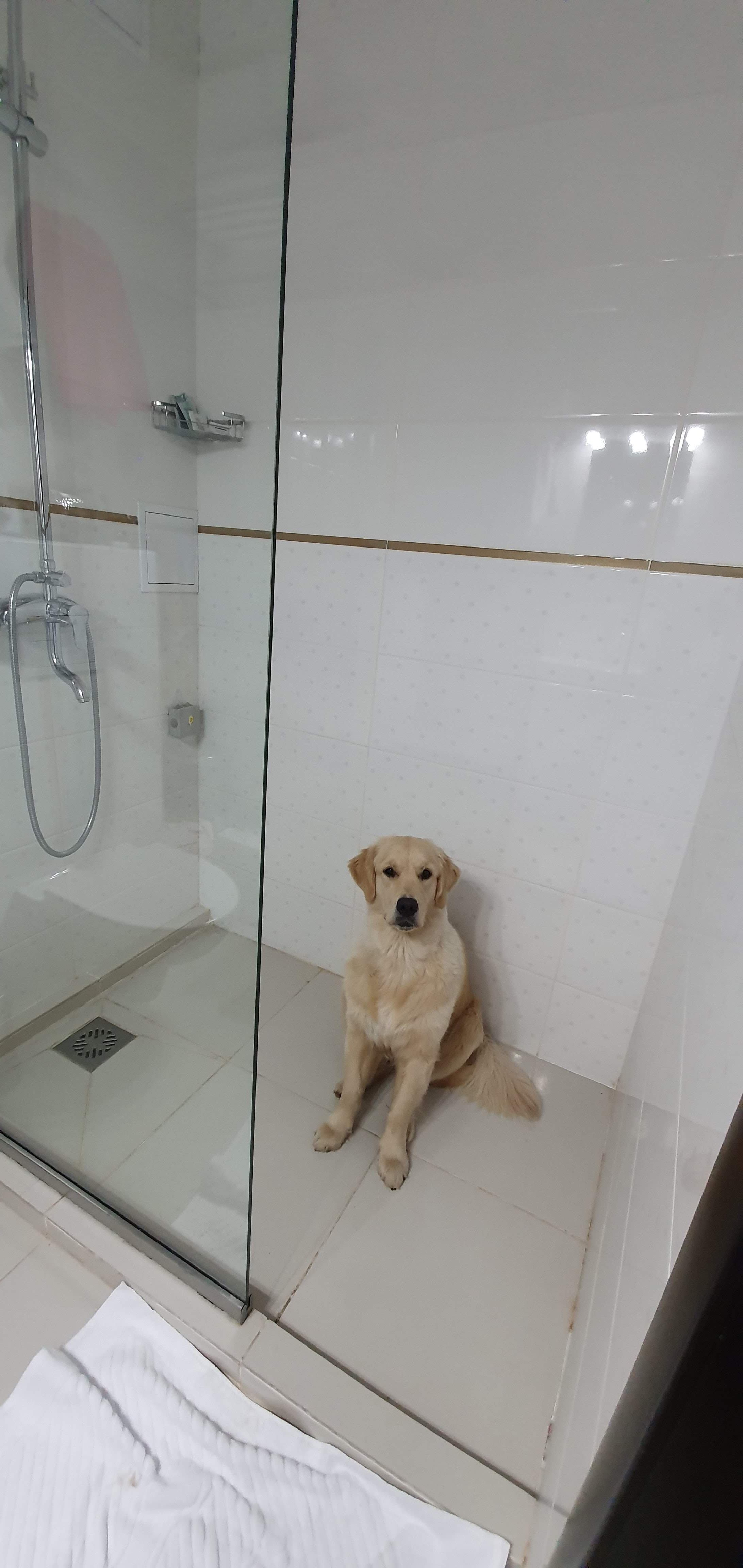 Фото Sweet Йорт