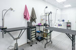 ChapLin (Yubileyniy Microdistrict, Leninskaya Street, 14), pet salon
