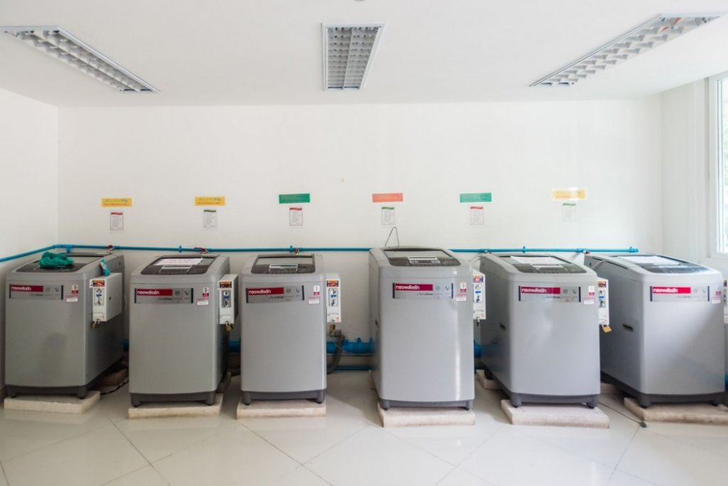 Фото Paradise Park