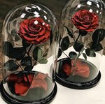 Rose In A Flask (Mikhaylovsky Drive, 3с13), flower shop