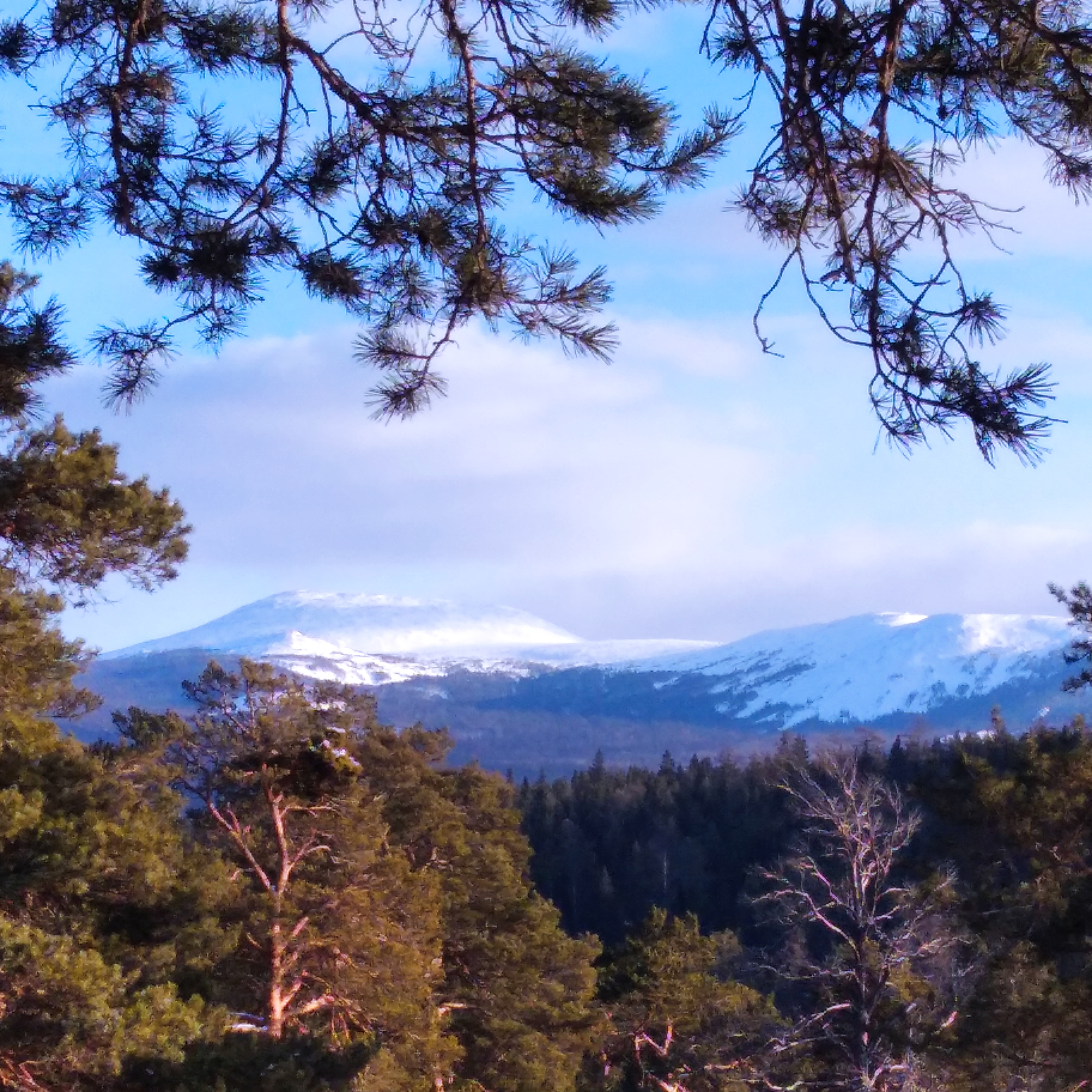 Фото Иремель Роза Ветров
