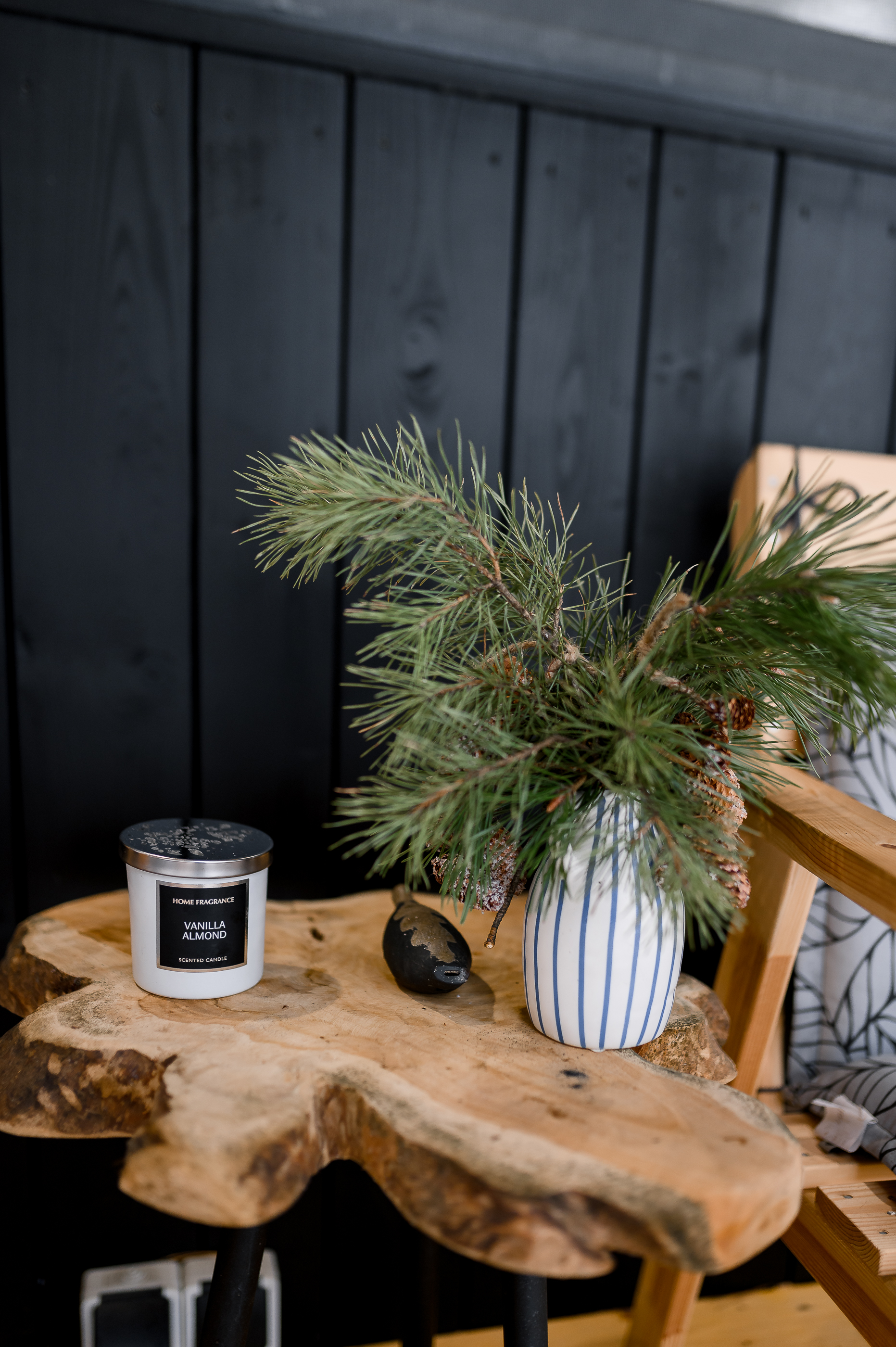 Фото Место под соснами