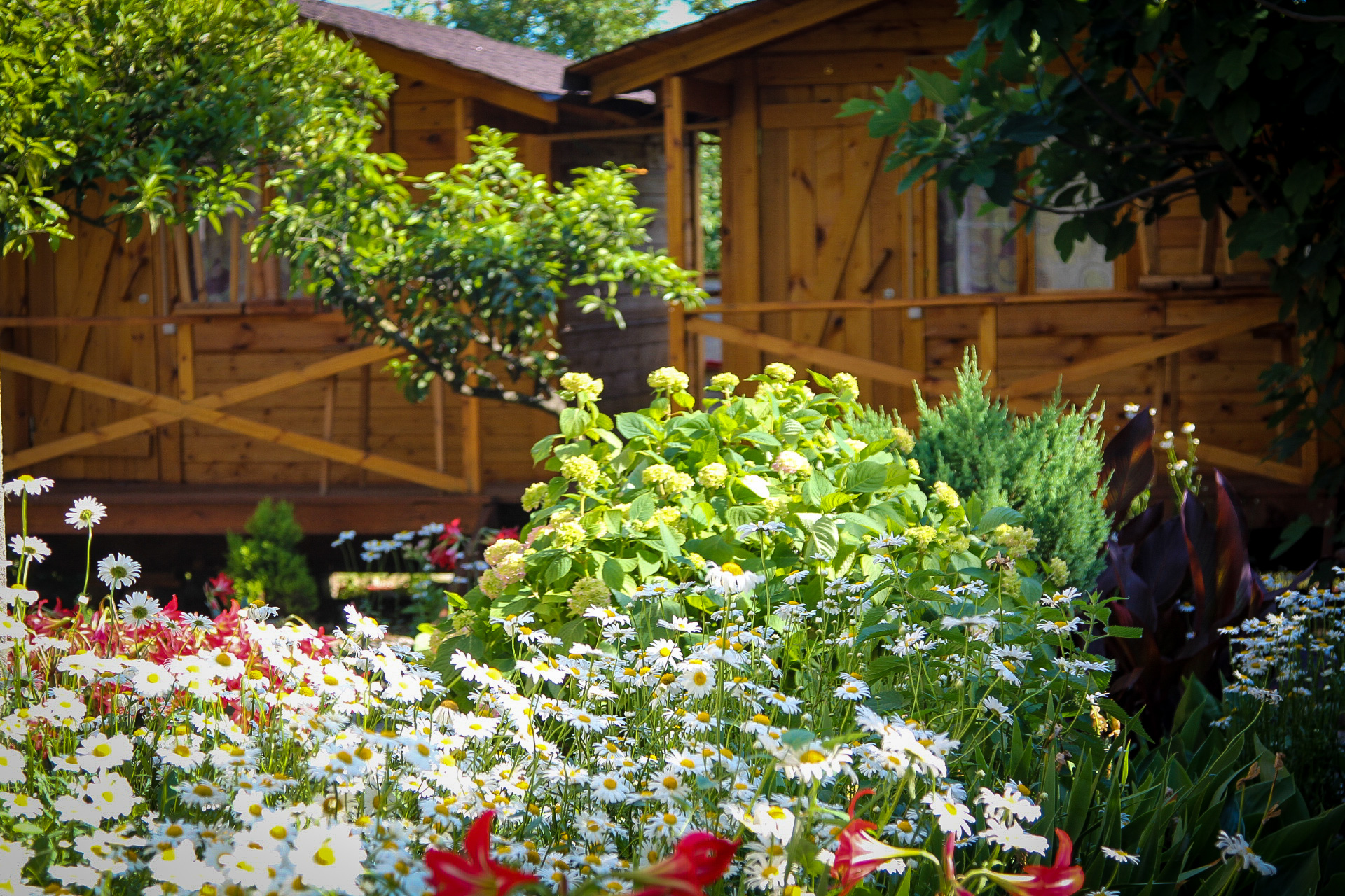 Фото Теремки